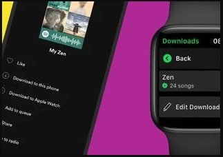 Apple Watch How To Download Spotify Tracks & Listen Offline