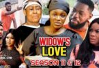 Download Widow's Love Season 11 & 12 [Nollywood Movie]
