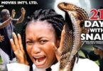 Download 14 Days with Snake Season 7 & 8 [Nollywood Movie]