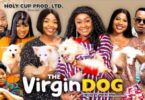Download The Virgin Dog Season 1 & 2 [Nigerian Movie]