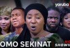 Download Omo Sekinat [Yoruba Movie]
