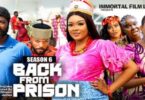 Download Back from Prison Season 5 & 6 [Full Movie]
